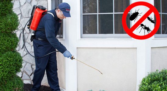 Kocaeli Hamam Böceği İlaçlama böcek ilaçlama ve haşere kontrolü — ilaclama-tr.com